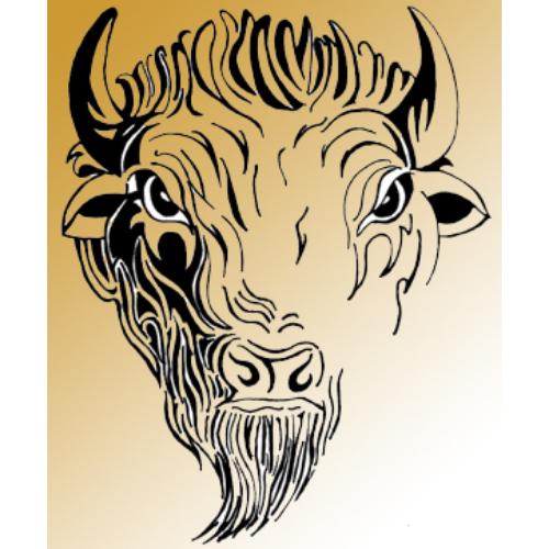 Cheyenne South Bison