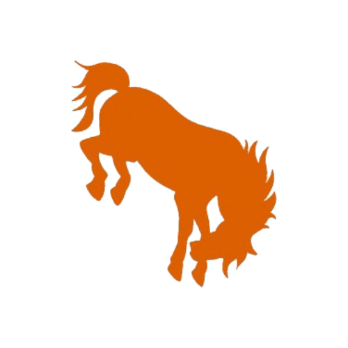 Burns Broncs