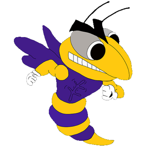 Pine Bluffs Hornets