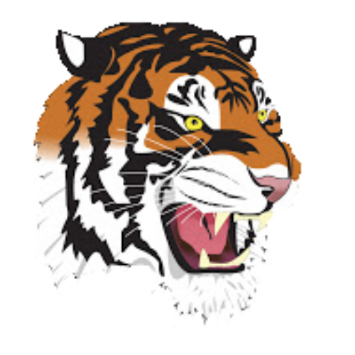 Rock Springs Tigers